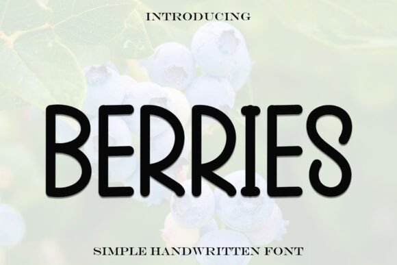 Berries Font for Bold Campaigns